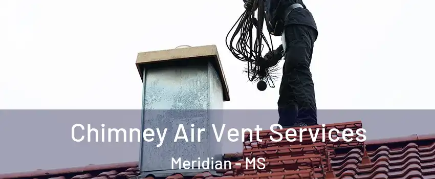  Chimney Air Vent Services Meridian - MS