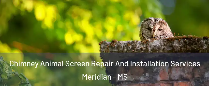  Chimney Animal Screen Repair And Installation Services Meridian - MS