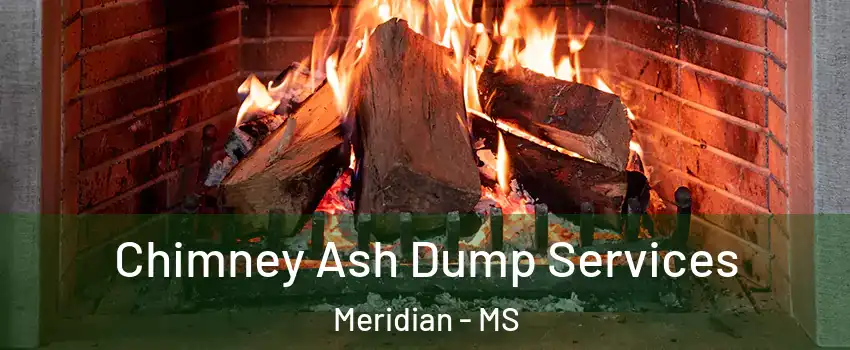  Chimney Ash Dump Services Meridian - MS
