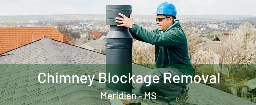  Chimney Blockage Removal Meridian - MS