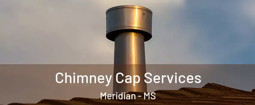  Chimney Cap Services Meridian - MS