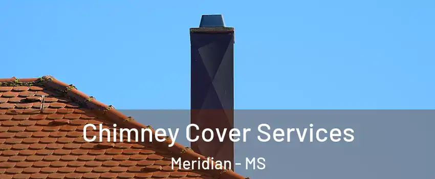  Chimney Cover Services Meridian - MS