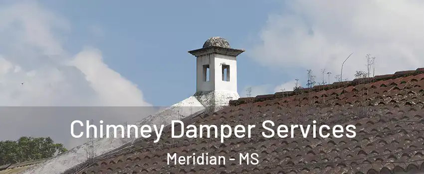  Chimney Damper Services Meridian - MS