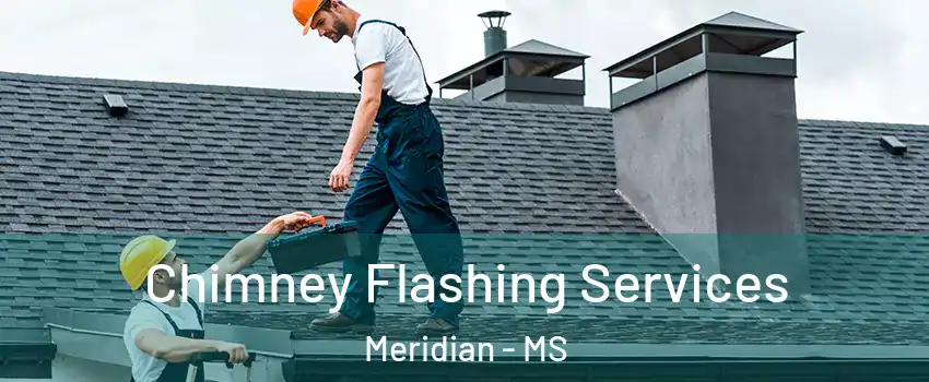  Chimney Flashing Services Meridian - MS