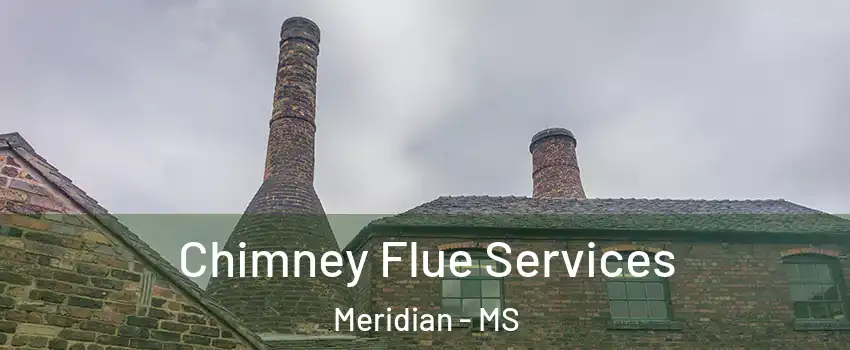  Chimney Flue Services Meridian - MS