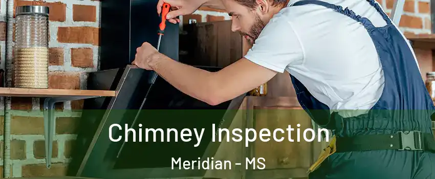  Chimney Inspection Meridian - MS