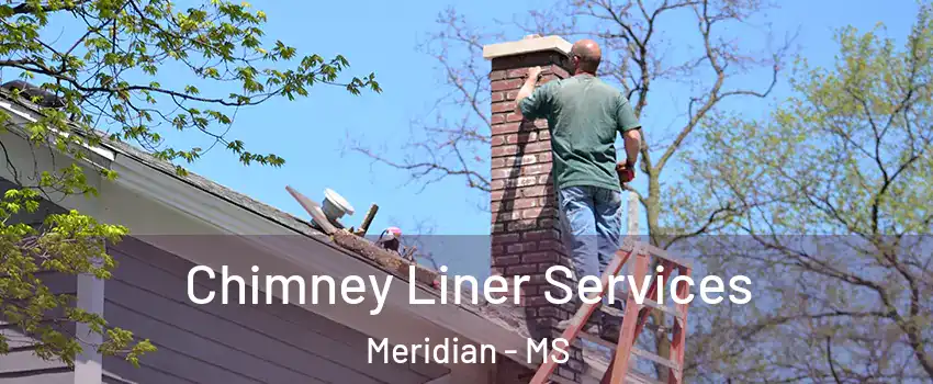  Chimney Liner Services Meridian - MS