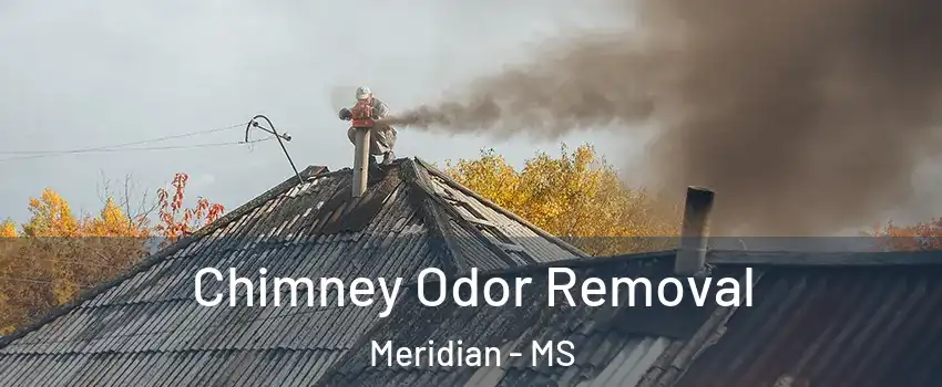  Chimney Odor Removal Meridian - MS