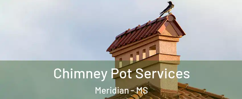  Chimney Pot Services Meridian - MS