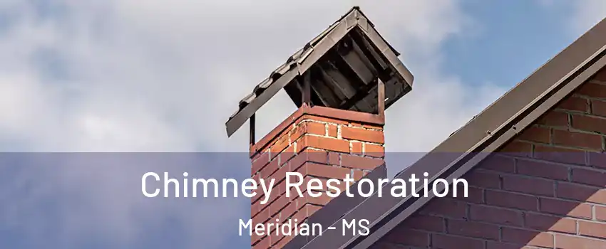  Chimney Restoration Meridian - MS