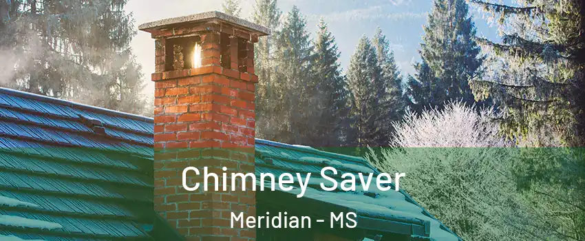  Chimney Saver Meridian - MS