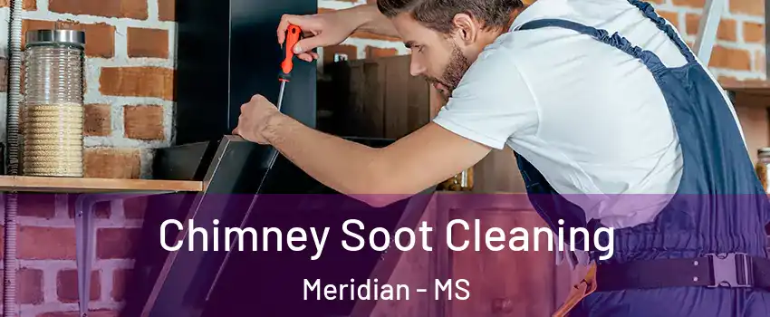  Chimney Soot Cleaning Meridian - MS