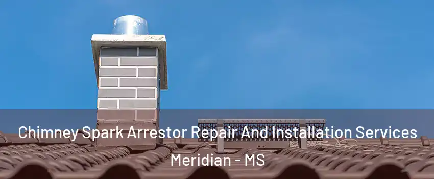  Chimney Spark Arrestor Repair And Installation Services Meridian - MS