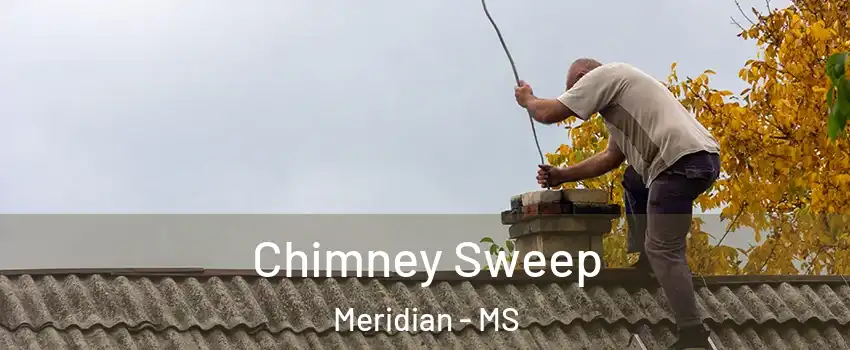  Chimney Sweep Meridian - MS