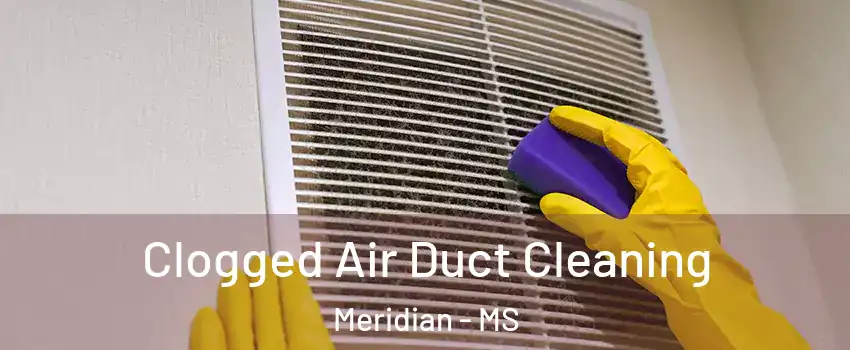  Clogged Air Duct Cleaning Meridian - MS