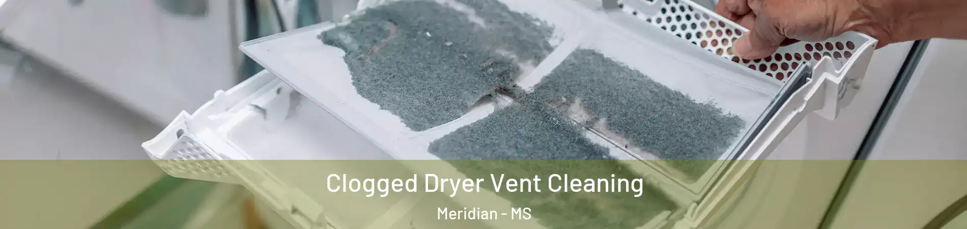  Clogged Dryer Vent Cleaning Meridian - MS