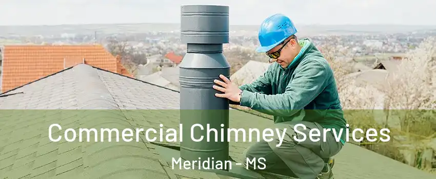  Commercial Chimney Services Meridian - MS