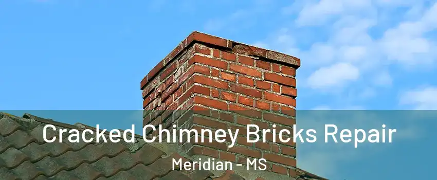  Cracked Chimney Bricks Repair Meridian - MS