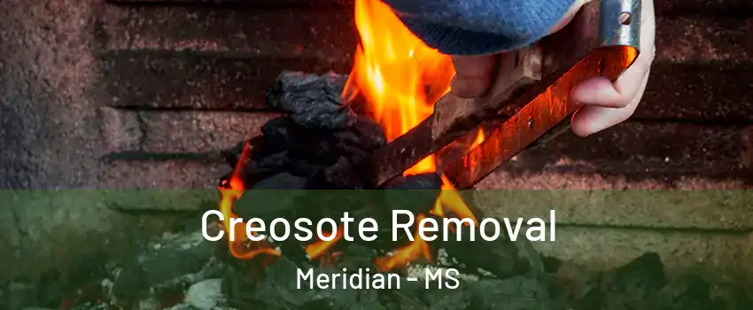  Creosote Removal Meridian - MS