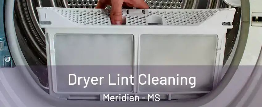  Dryer Lint Cleaning Meridian - MS