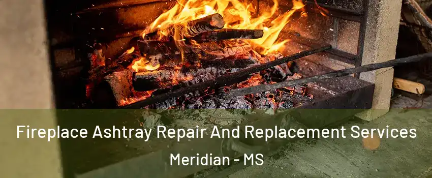  Fireplace Ashtray Repair And Replacement Services Meridian - MS