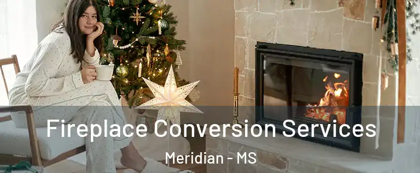  Fireplace Conversion Services Meridian - MS