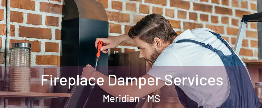 Fireplace Damper Services Meridian - MS