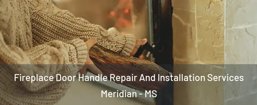  Fireplace Door Handle Repair And Installation Services Meridian - MS