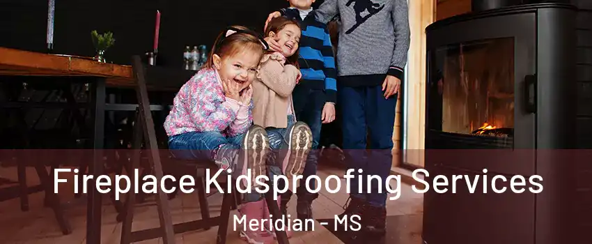  Fireplace Kidsproofing Services Meridian - MS