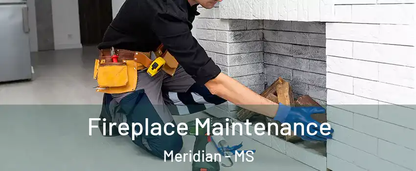  Fireplace Maintenance Meridian - MS