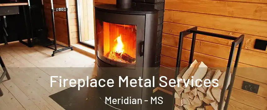  Fireplace Metal Services Meridian - MS