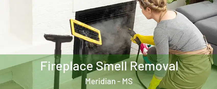  Fireplace Smell Removal Meridian - MS