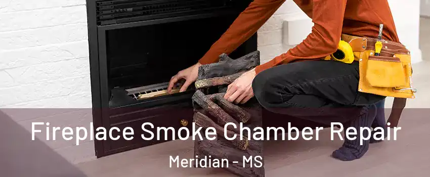  Fireplace Smoke Chamber Repair Meridian - MS