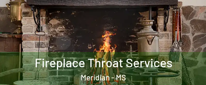  Fireplace Throat Services Meridian - MS