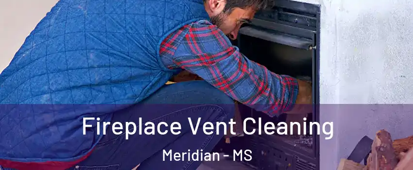  Fireplace Vent Cleaning Meridian - MS