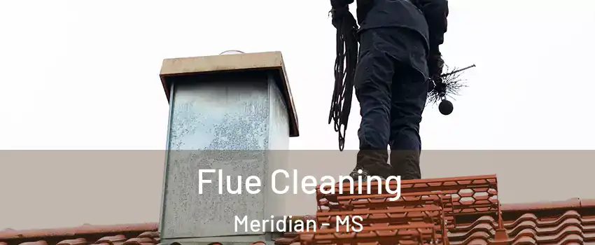  Flue Cleaning Meridian - MS