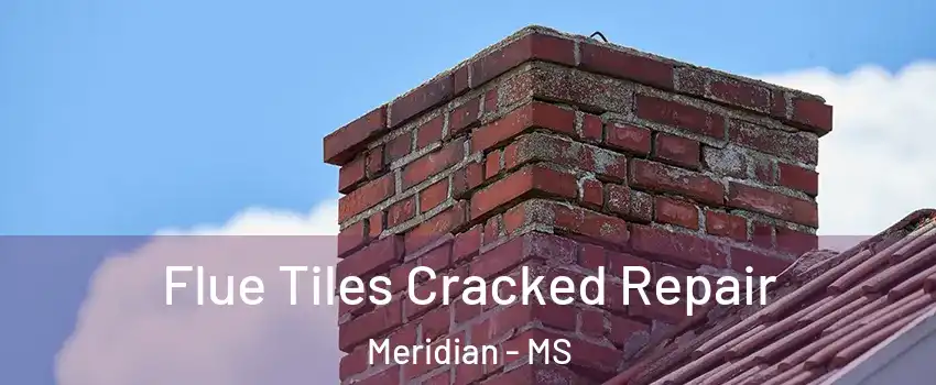  Flue Tiles Cracked Repair Meridian - MS