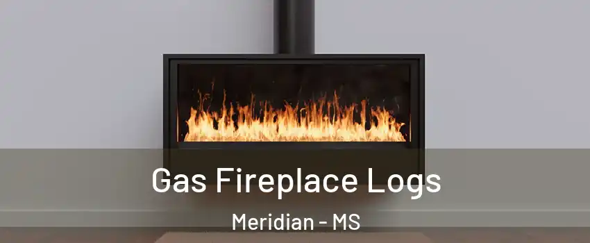  Gas Fireplace Logs Meridian - MS