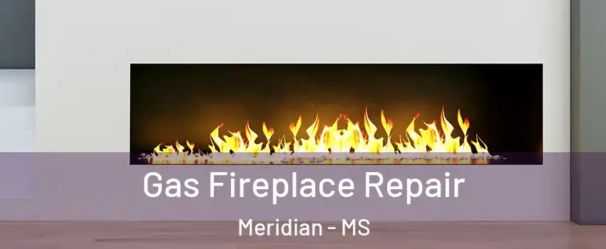  Gas Fireplace Repair Meridian - MS