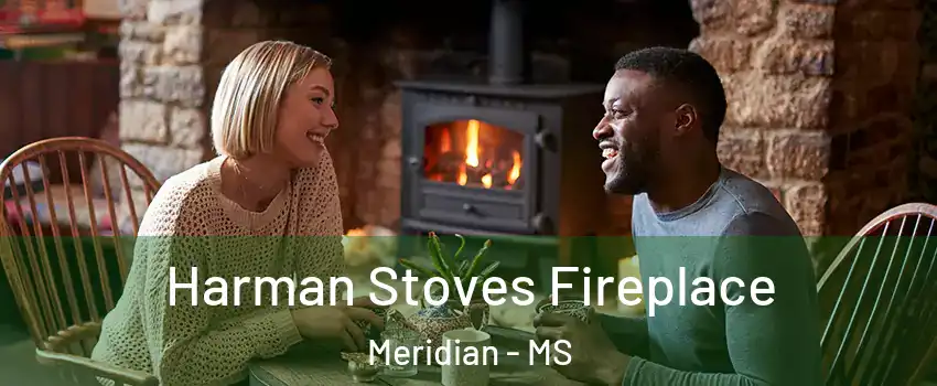  Harman Stoves Fireplace Meridian - MS