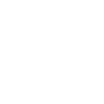 Professional Chimney Flue Installation in Meridian, Mississippi