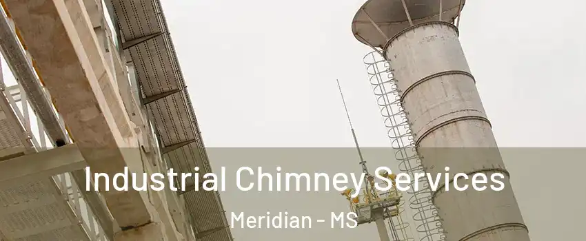  Industrial Chimney Services Meridian - MS