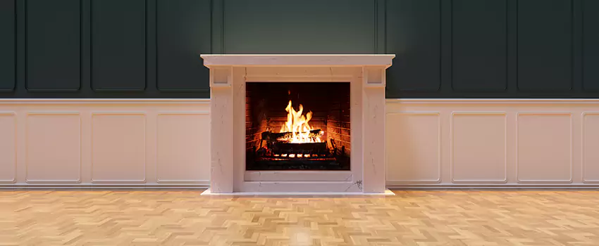 Napoleon Electric Fireplaces Inspection Service in Meridian, Mississippi