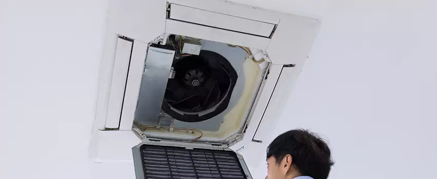 Benefits of Professional Air Duct Cleaning in Meridian, Mississippi