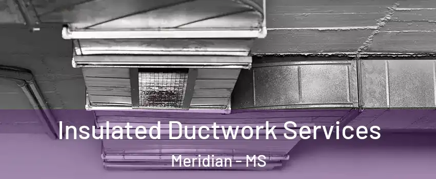  Insulated Ductwork Services Meridian - MS