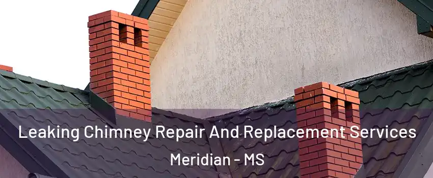  Leaking Chimney Repair And Replacement Services Meridian - MS