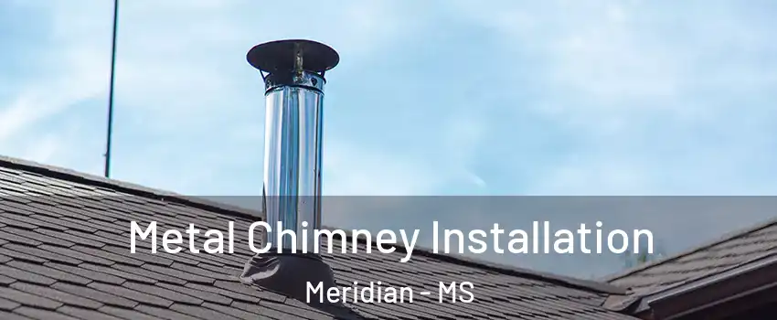  Metal Chimney Installation Meridian - MS