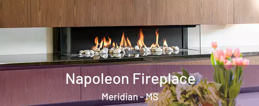  Napoleon Fireplace Meridian - MS
