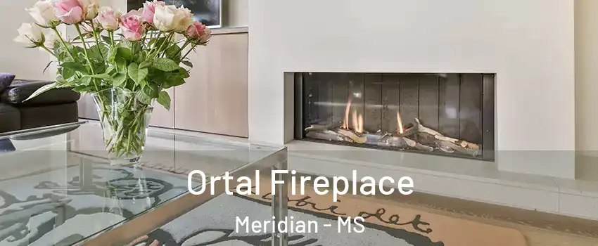  Ortal Fireplace Meridian - MS