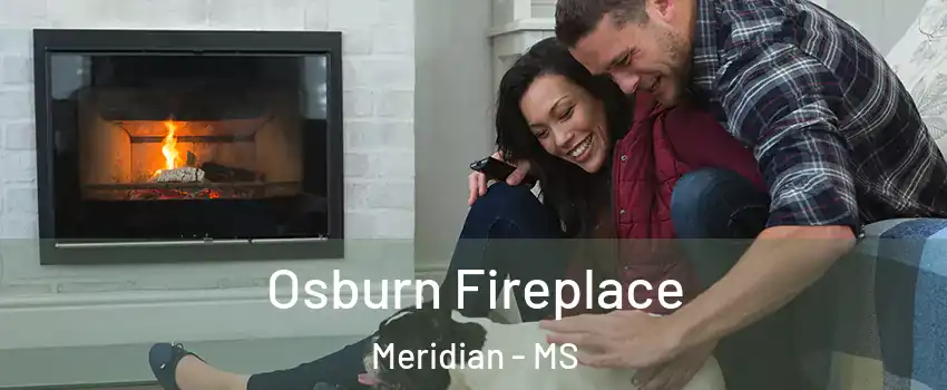  Osburn Fireplace Meridian - MS